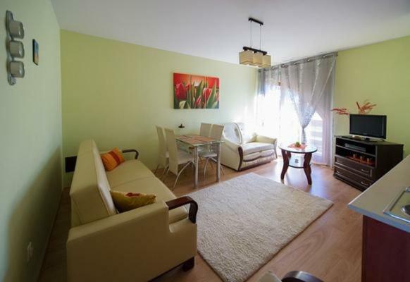 Panorama Koscielisko Apartment ซาโกปาเน ภายนอก รูปภาพ