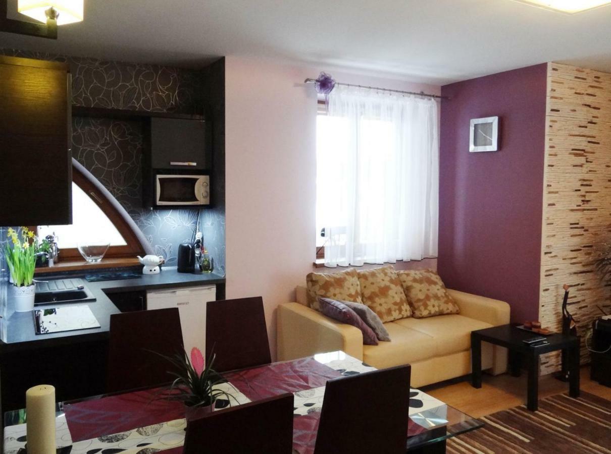 Panorama Koscielisko Apartment ซาโกปาเน ภายนอก รูปภาพ